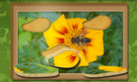 Find & Restore: Hidden Puzzle