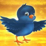 Bird Fly